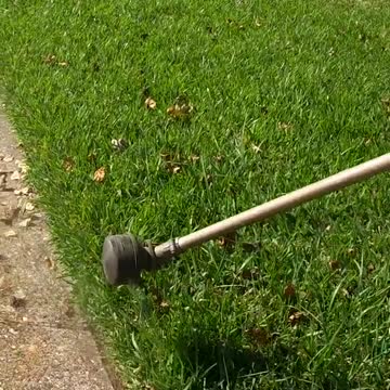 funny|prank|jokes|funny jokes|dad jokes|funny memes|funny video|fun|laughing|funny animal|knockv