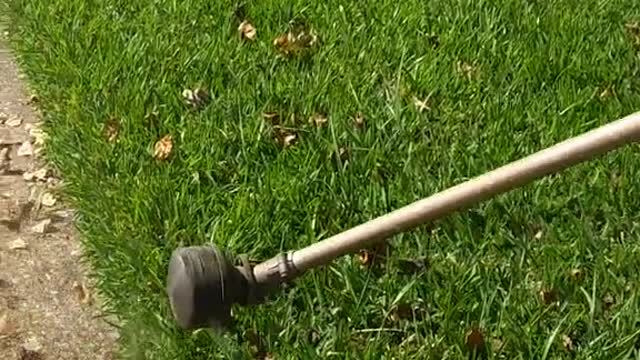 funny|prank|jokes|funny jokes|dad jokes|funny memes|funny video|fun|laughing|funny animal|knockv