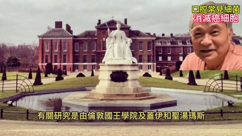 口腔常見細菌 消滅癌細胞