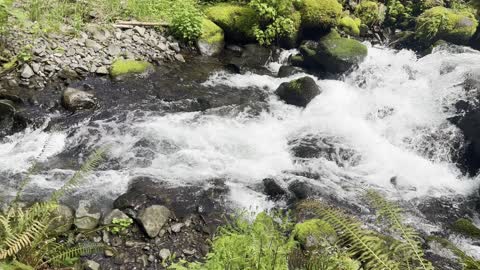 The Flow of Dry Creek Falls – Columbia River Gorge – Oregon – 4K