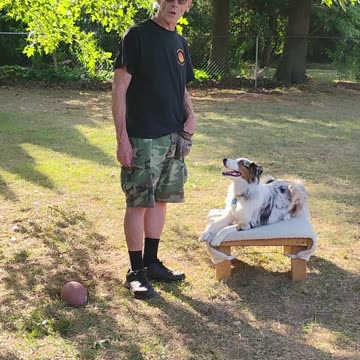 Structured Play Games Training and Practice a