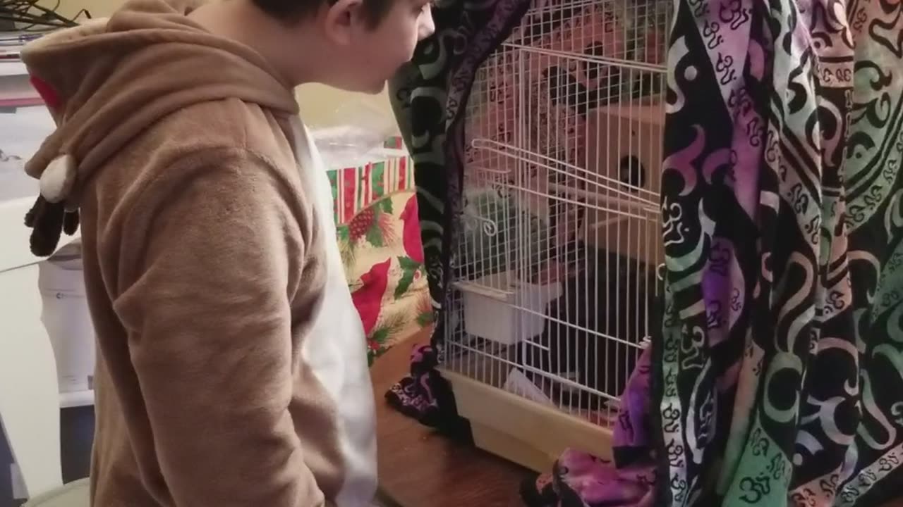 Matt Bentley Christmas morning