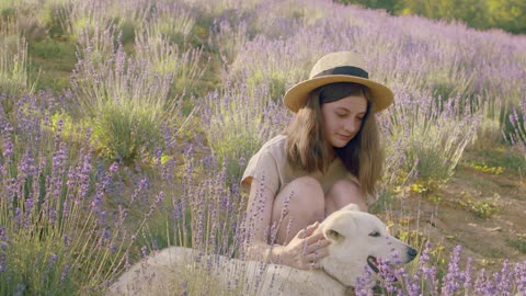 Dog: A Friend for All Hours