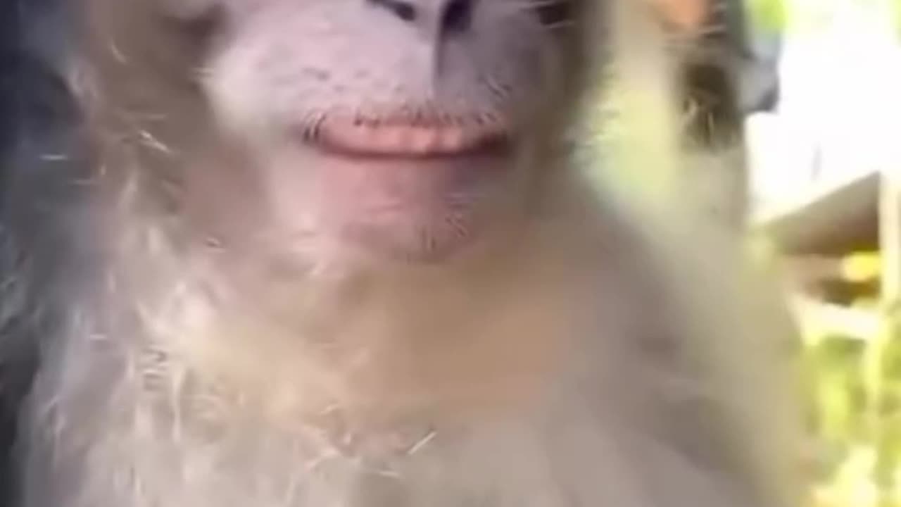 REACTION