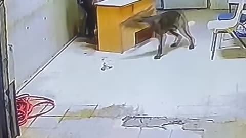 Excellent defence
