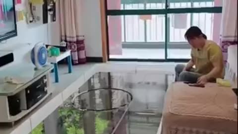 The Amazing video