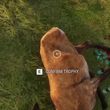 Pocket sized Hunter Call of the Wild