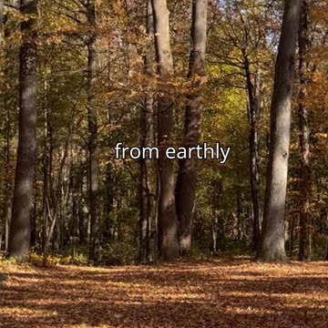 Human Nature vs Grace Part 8