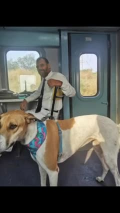 How we can carry dogs on trains | How to carry your pet in train | Can we carry dog in Railways