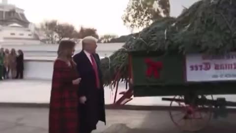 Team Trump posted this on TikTok one day ago. It has 30M views and 4.2M likes.