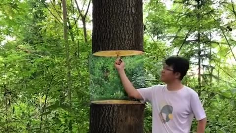 Blending trees with their background using a painting brush