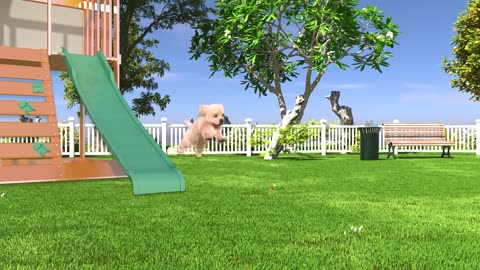 BINGO | Nursery rhymes |Baby Dong