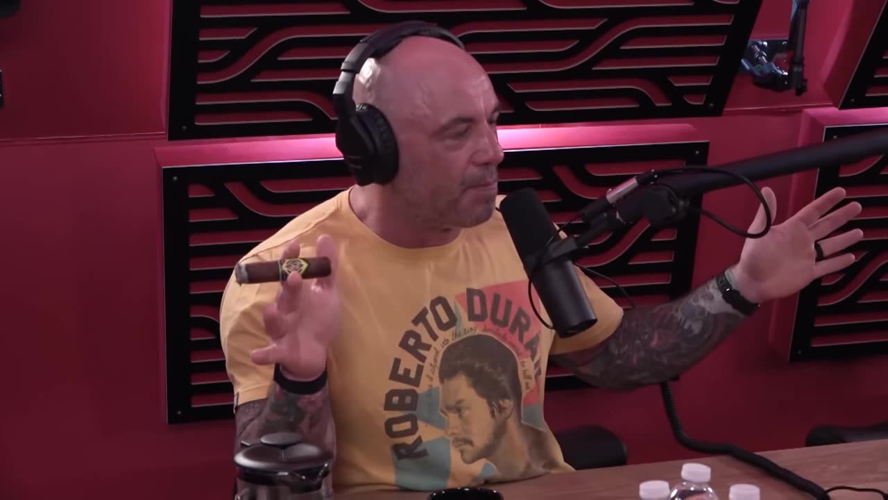 The Joe Rogan Experience #1555 | A Highlights