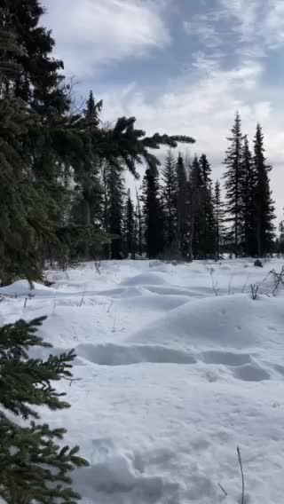 Spring is Almost Here