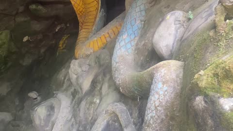 Snake temple