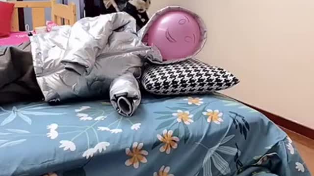 Chinese Funny Video _ New Funny Videos 2022, Chinese Funny Video try not to laugh