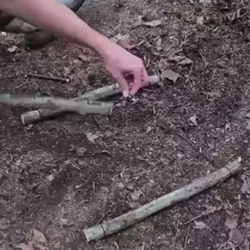 ✍🏾 Easy survival trap 🪤