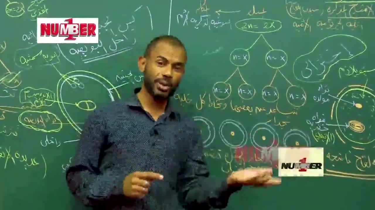 4/كيس الجنين النباتي
