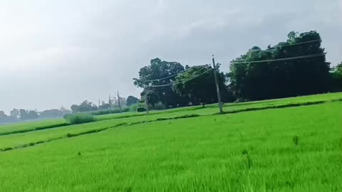#Village beautiful 😍 scene