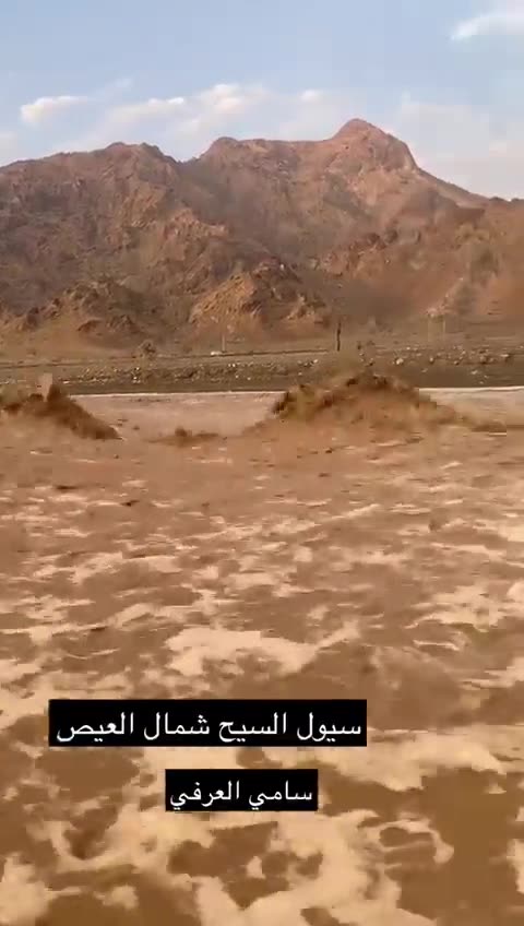 Saudi Arabia - Medina: The desert turned literally into a sea