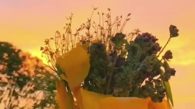 Beautiful scenery also makes people feel beautiful