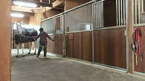 2022-1-23 Walk check