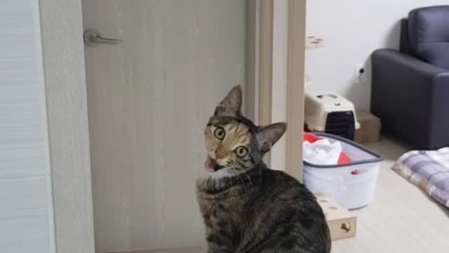 I'm hungry! Ask for food.