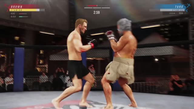 The UFC 4 Experience