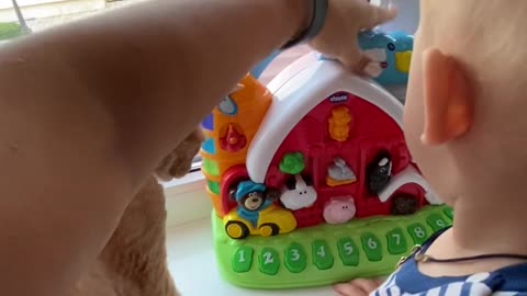 Cute Cat and Cute baby playing