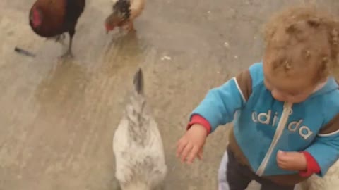 What beautiful life in the countryside