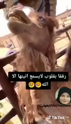 لاحول ولا قوة الا بالله العلى العظيم