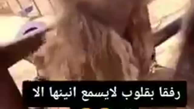 لاحول ولا قوة الا بالله العلى العظيم