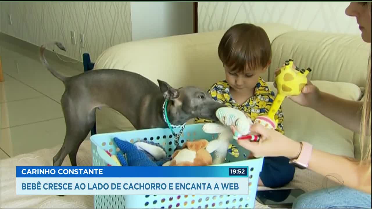 CONSTANT AFFECTION: BABY GROWS NEXT TO A DOG AND ENCHANT THE WEB