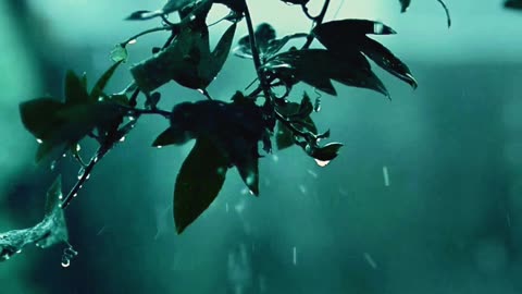 Relaxing Rain ASMR for Peaceful Sleep