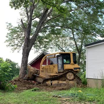 Pushing Trees out with the CAT D5 High Track