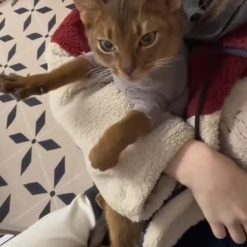 Come on lady. Join in. Am feeling the vibes 🤣