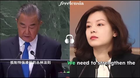 Excellent Chinese Interpreter Translates for Foreign Minister Wang Yi
