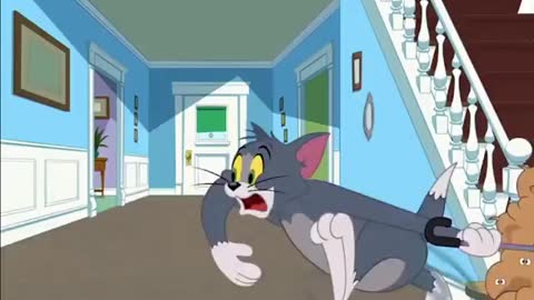 Tom & Jerry | Tom & Jerry in Full Screen | Classic Cartoon Compilation | WB Kids