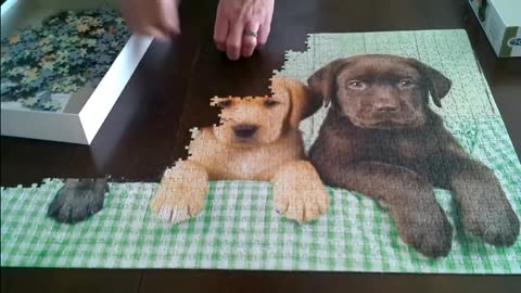 Puzzled