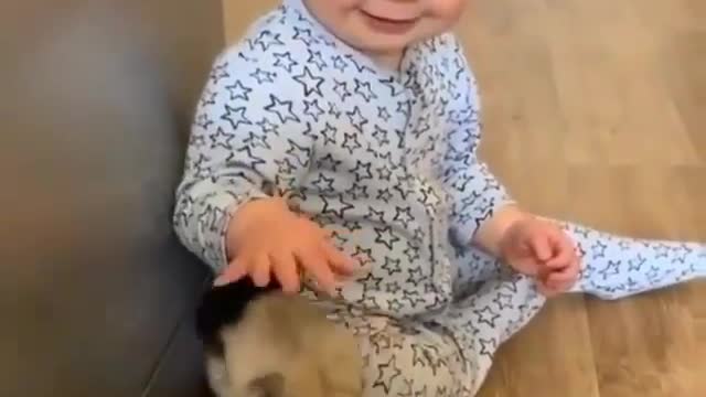 puppies with kid