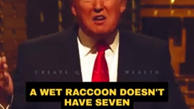 Difference between wet raccoon and Trump hair