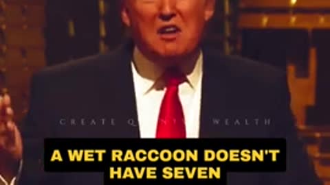 Difference between wet raccoon and Trump hair