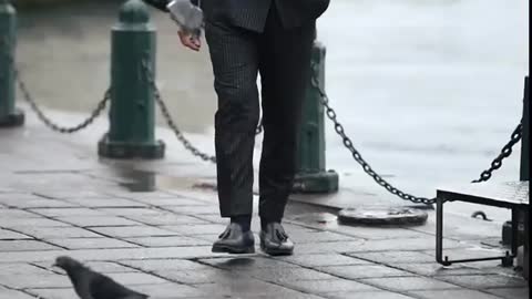Which suit do you like