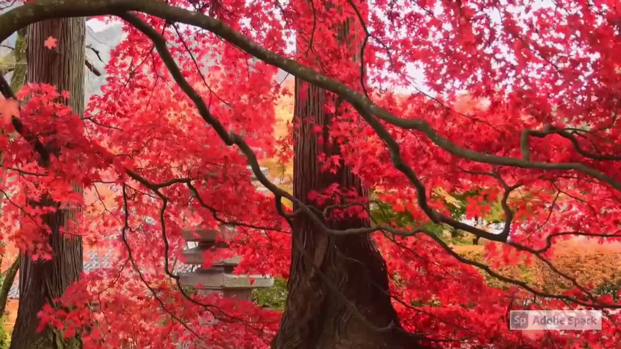 Autumn’s Sound: Relaxing music