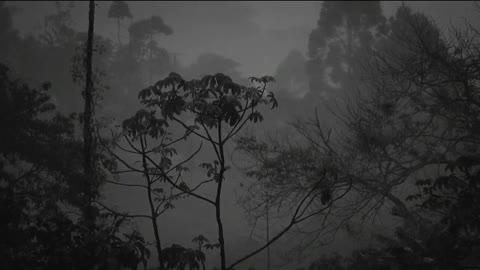 rain to relax and sleep