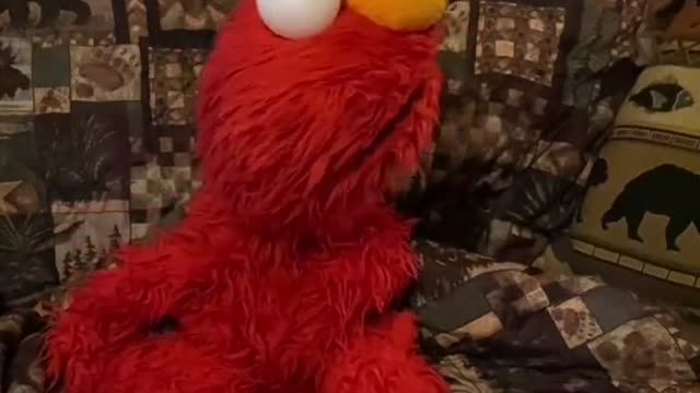 Elmo wants a cat