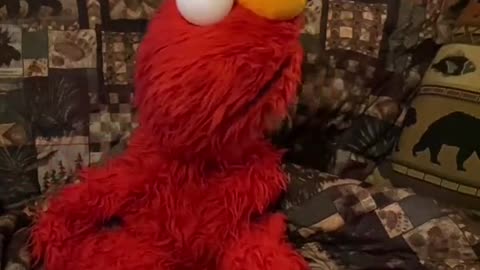 Elmo wants a cat