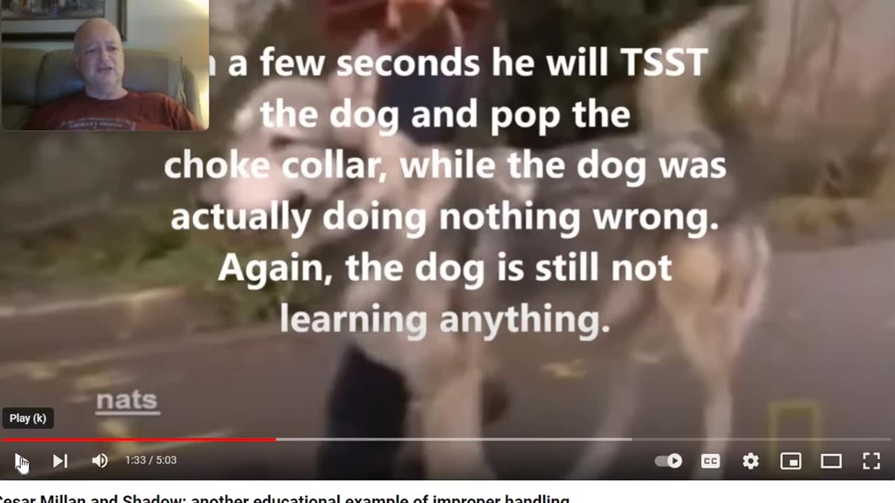Cesar Millan vs Shadow - Breakdown of the Force Free Narrative as a Bonus - Flipping the Script