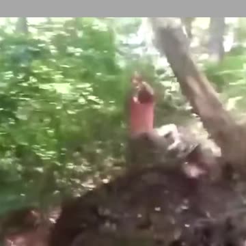 dad entertains children