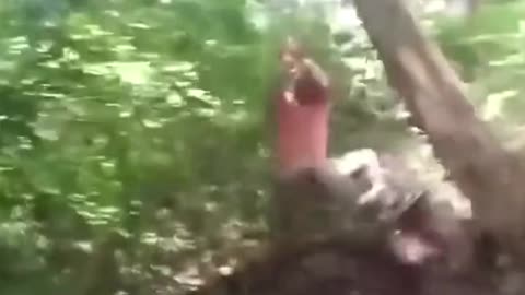 dad entertains children